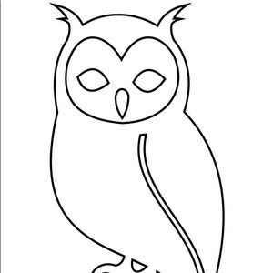 Meet your Posher, Cesar